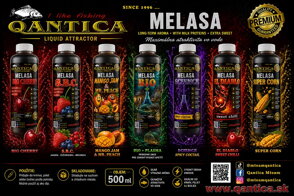 melasa qantica