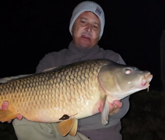 qantica zimna rybacka