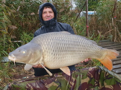 qantica boilies ovocne