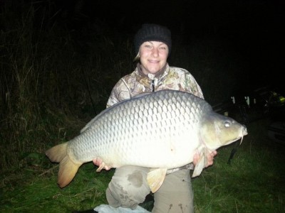 chilli qantica boilies