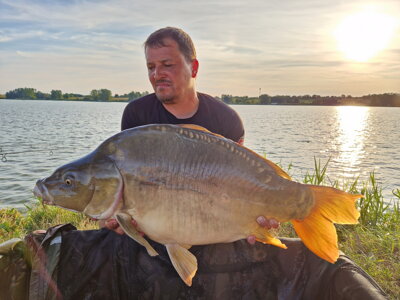 Absoluthorium Boilies Red Red 20mm 1kg | Prémiová nástraha na trofejné kapry | Qantica.sk