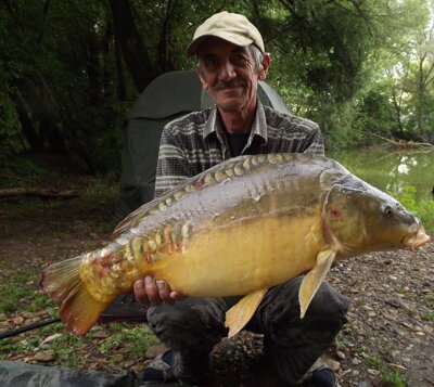 boilies chobotnica