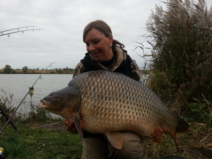 qantica boilies pečeň