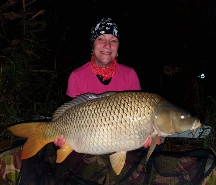 qantica boilies krab