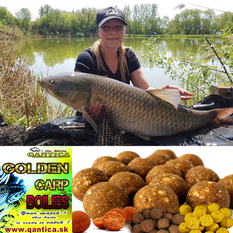 qantica golden carp boilies