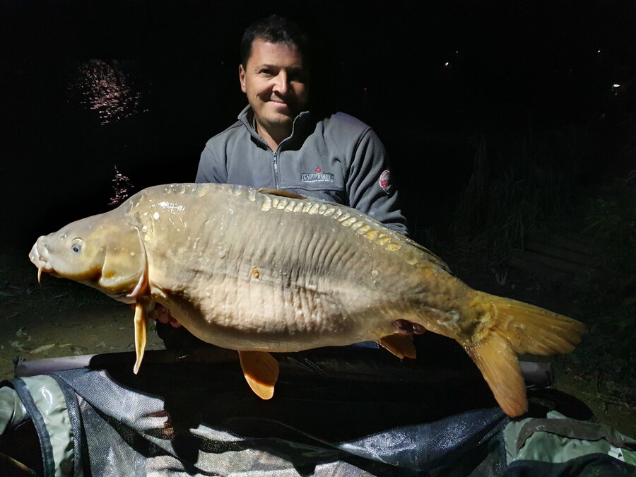 qantica carp fishing