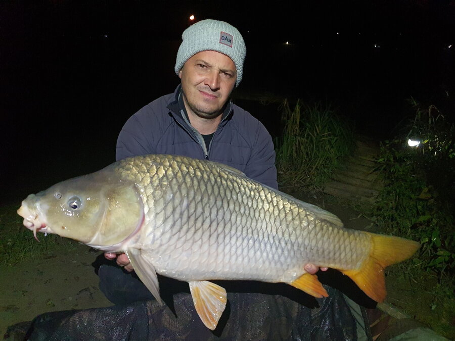 qantica carp fishing