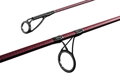 Delphin ETNA E3 cork / 2 diely - 330cm/3,00lbs