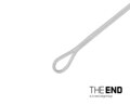 Nadväzec Delphin THE END FLRcarbon Leader / 1ks | 100 cm / 30lbs