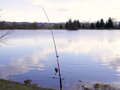Delphin DANGER CatFISH - 310cm/350g/2diely