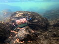 Krmítko s olovenou záťažou Delphin RiverSTIX - 170g
