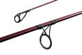 Delphin ETNA E3 / 2 diely - 380cm/3,50lbs