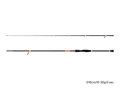 Delphin BANG! NXT - 240cm/10-30g
