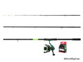 Feedrový set Delphin GreenFEED - 360cm/100g+3T+0,22mm