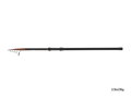 Delphin NIORA TeleMATCH - 390cm/35g