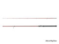 Delphin AMULET Spin - 180cm/30g/2diely