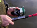 Delphin DANGER CatFISH - 310cm/350g/2diely