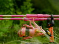 Delphin QUEEN Candy - 300cm/3.0lbs/2 diely