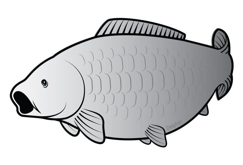 Nálepka kapor SILVER Nálepka kapor SILVER