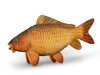 Plyšový kapor Delphin CARPY - 60 cm