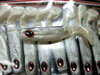 GM1101014 Mistrall Dominator 6,5cm f.14