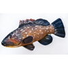 VANKÚŠ - THE DUSKY GROUPER 100CM