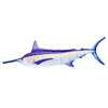 VANKÚŠ - THE MONSTER BLUE MARLIN