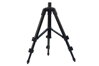 CARP EXPERT MINI TRIPOD