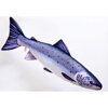VANKÚŠ - THE ATLANTIC SALMON 90CM