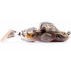 LIVETARTGET GOBY 2 PADDLETAIL GÉB MŰCSALI HOROGGAL SZERELVE