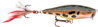 Skitter Pop Top Water Fresh 05