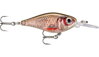X-Light Shad 04