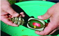 Extra Carp Kŕmidlo Method Feeder IN-Line