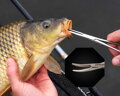 ZFISH Pean Zahnutý
