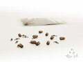 ZFISH Konektor Sviwel Stop Beads 2in1