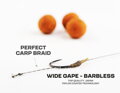 ZFISH Návazec Wide Gape Bez Protihrotu Carp Rig
