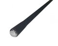 Zfish Prut Black Jack 12ft / 3LB