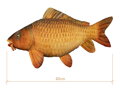 Plyšový kapor Delphin CARPY - 60 cm