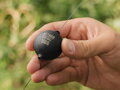 Záťaž bez olova Delphin EcoCATF BALL Rubber - 300g