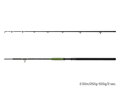 Delphin ENERGY Catfish - 310cm/250-500g/2 diely