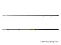 Delphin ENERGY Catfish - 310cm/250-500g/2 diely