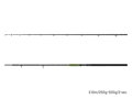 Delphin ENERGY Catfish - 310cm/250-500g/2 diely