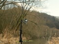 Delphin ENERGY Catfish - 310cm/250-500g/2 diely
