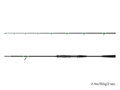 Delphin MonstaX - 170cm/150g/2 diely