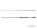 Delphin MonstaX - 170cm/150g/2 diely