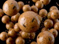 Boilies v dipe Delphin BreaX/NutCAKE - Tigrí orech-Scopex-Kukurica/16mm/200ml