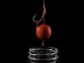 Booster Delphin BreaX/HotHELL - Robin red-Chilli-Fr.Klobása/250ml