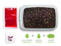 Pellet box Delphin Reaxe READY&GO - Slivka-Moruša/400g+120ml booster+10 waft