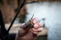 Fox EDGES™ Downrigger Back Weights