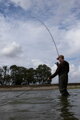 Fox Horizon X3 Rods